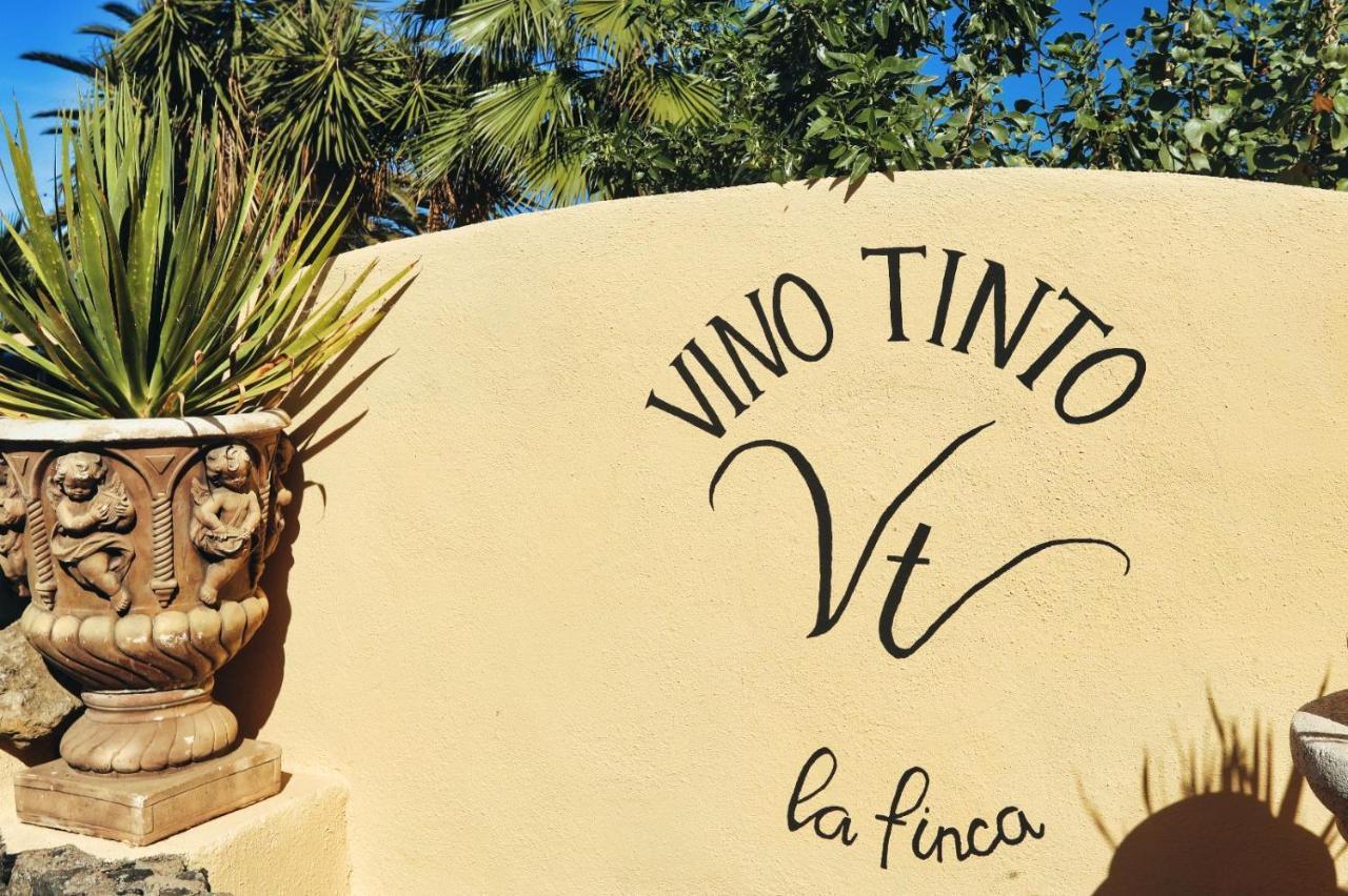 Finca Vino Tinto 4 Icod De Los Vinos Esterno foto